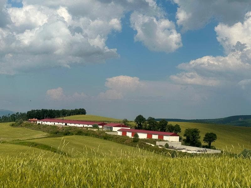 Devletoğlan Mah. Çiftlik