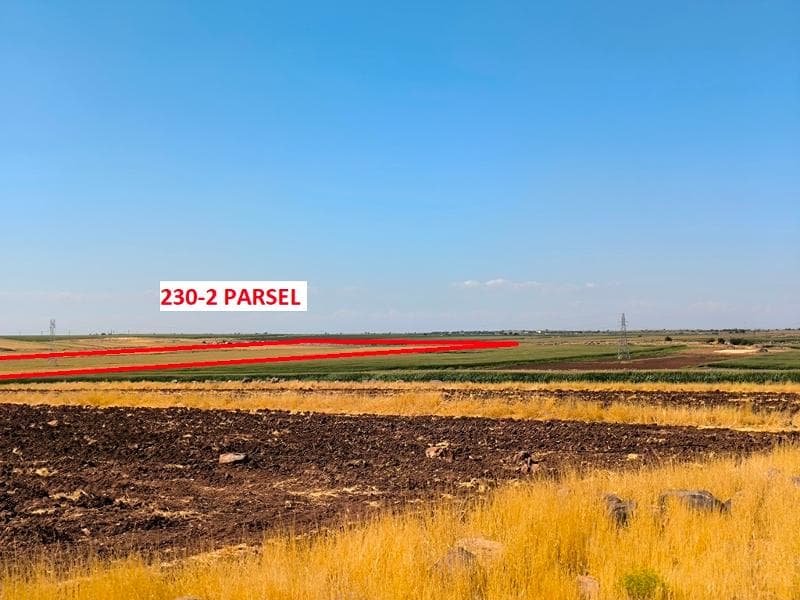 Elbeğendi Mahallesinde Tarla