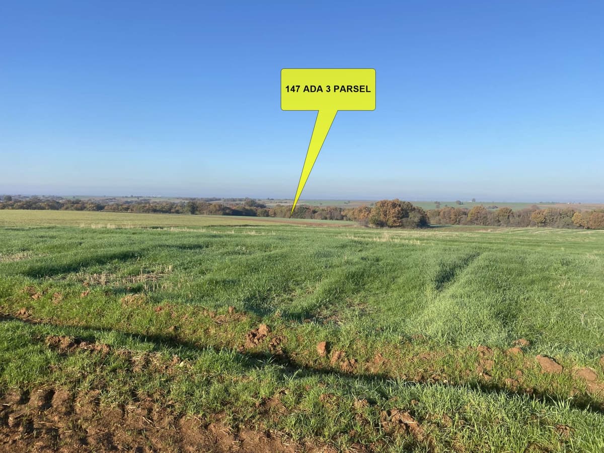 VakıfBank'tan Satılık Tarla