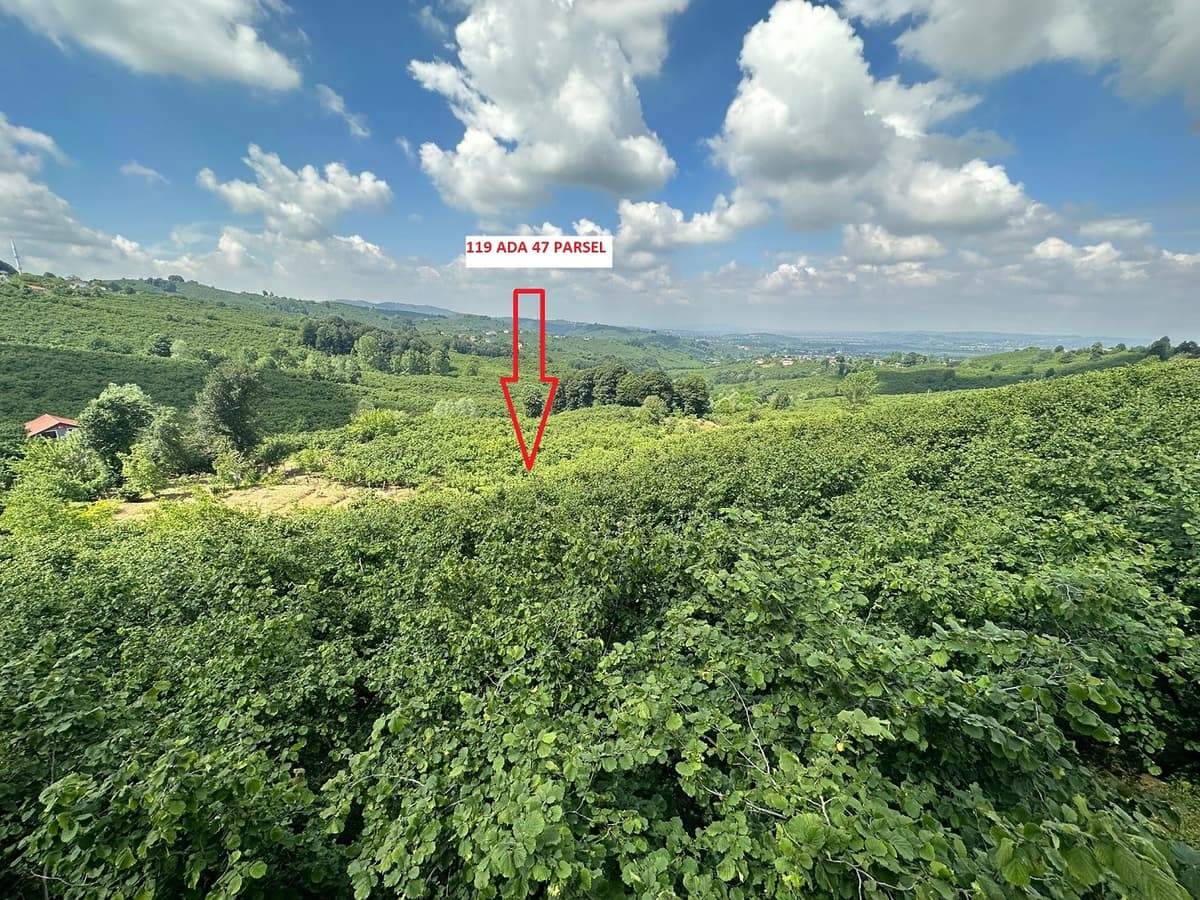 VakıfBank'tan Satılık Tarla