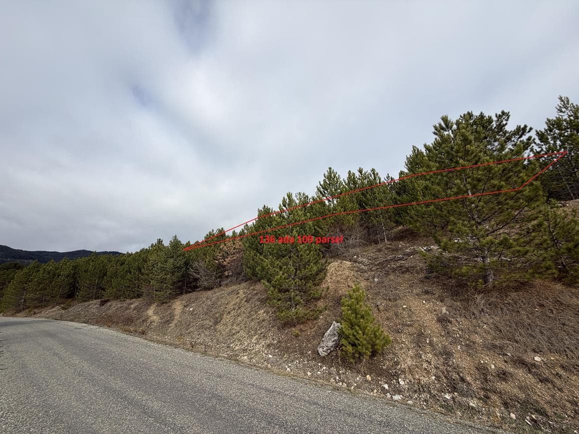 VakıfBank'tan Satılık Tarla