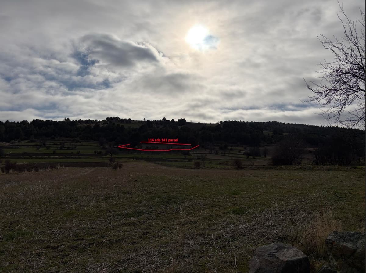 VakıfBank'tan Satılık Tarla