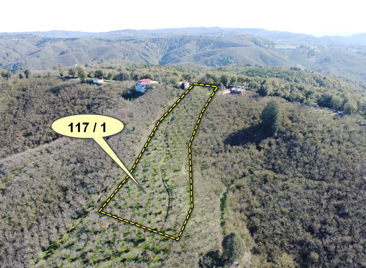 VakıfBank'tan Satılık 2 Adet Tarla