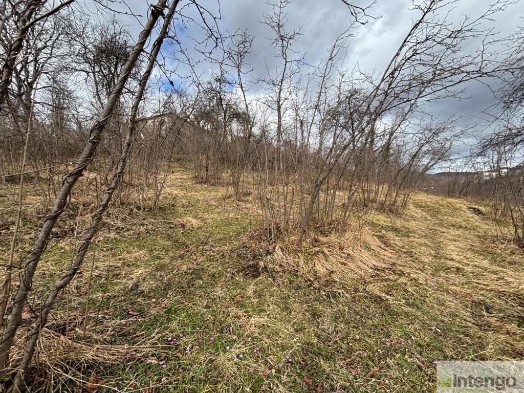 ORDU GÖLKÖY MAHALLESİ'NDE SATILIK İMARLI ARSA (AB-1248)