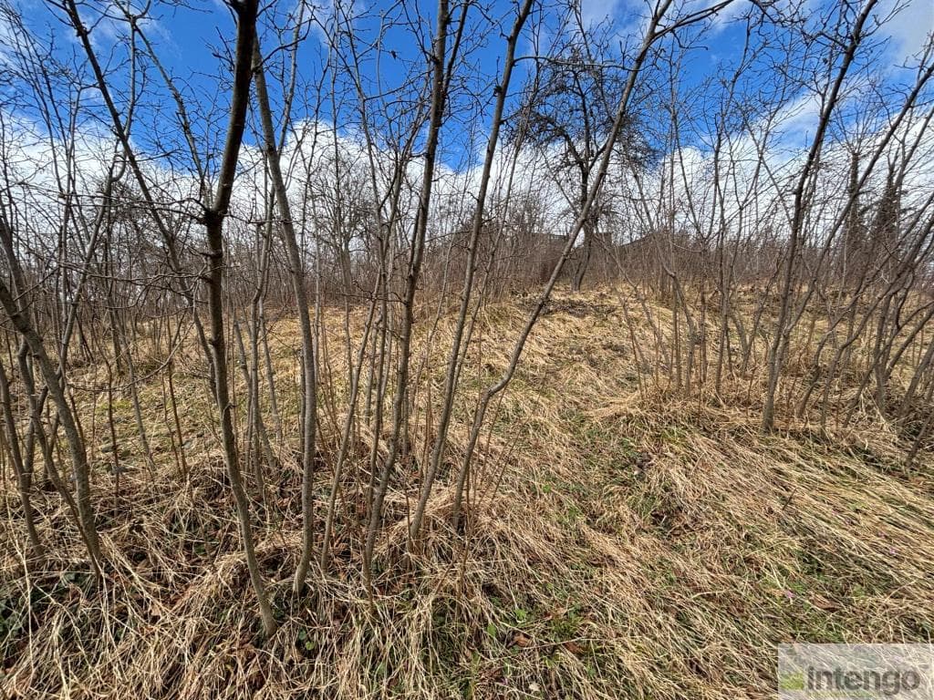 ORDU GÖLKÖY MAHALLESİ'NDE SATILIK İMARLI ARSA (AB-1250)