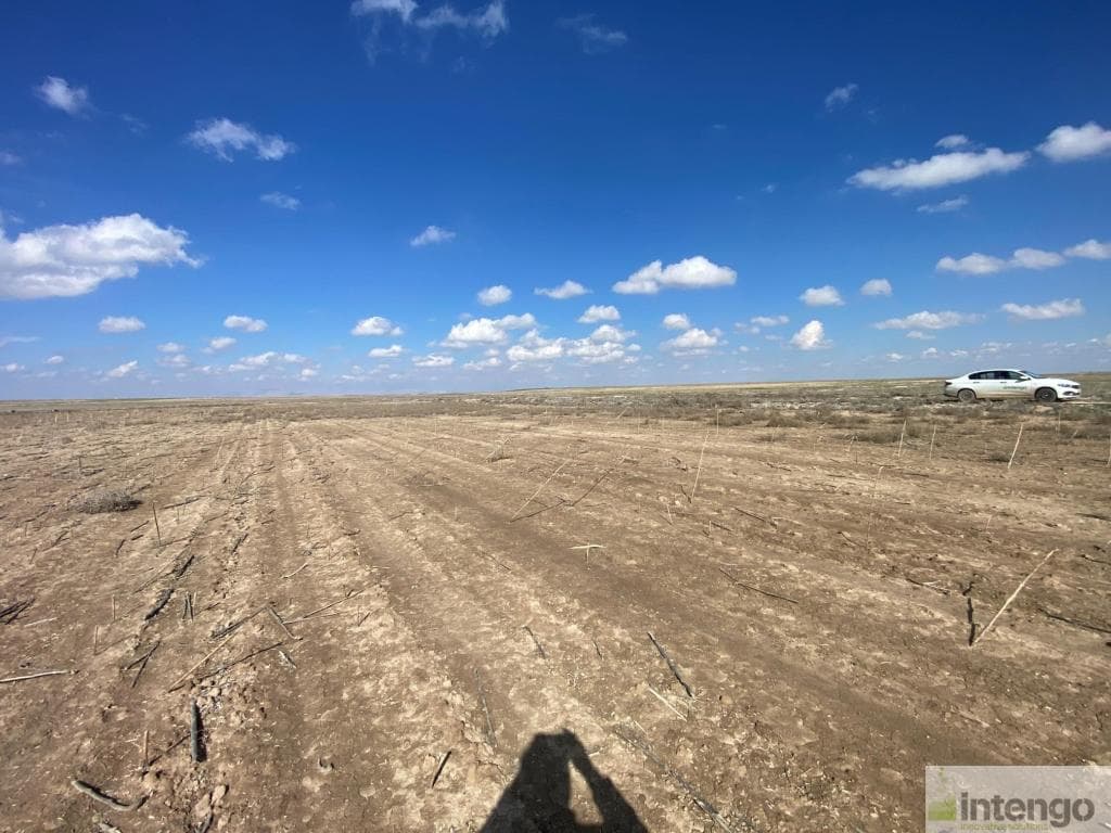 ÇUMRA UZUNKUYU KÖYÜ'NDE 7/12 HİSSELİ SATILIK TARLA (C-220)