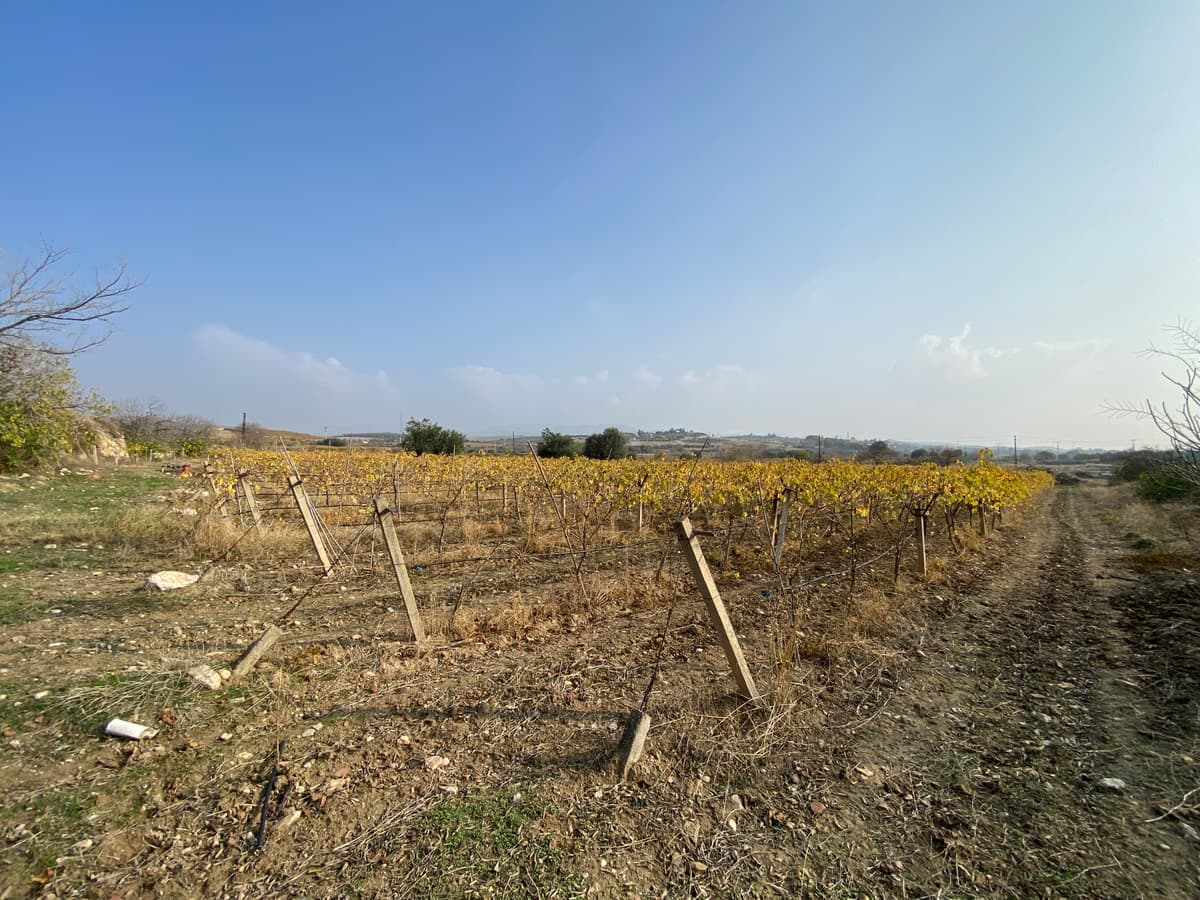 ALAŞEHİR İSMETİYE MAHALLESİ'NDE SATILIK 1/3 HİSSELİ TARLA(R-1151)