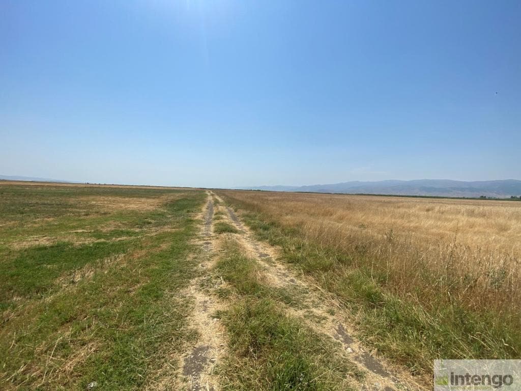 MUŞ MERKEZ NADASLIK KÖYÜ'NDE SATILIK TARLA (R-1445)