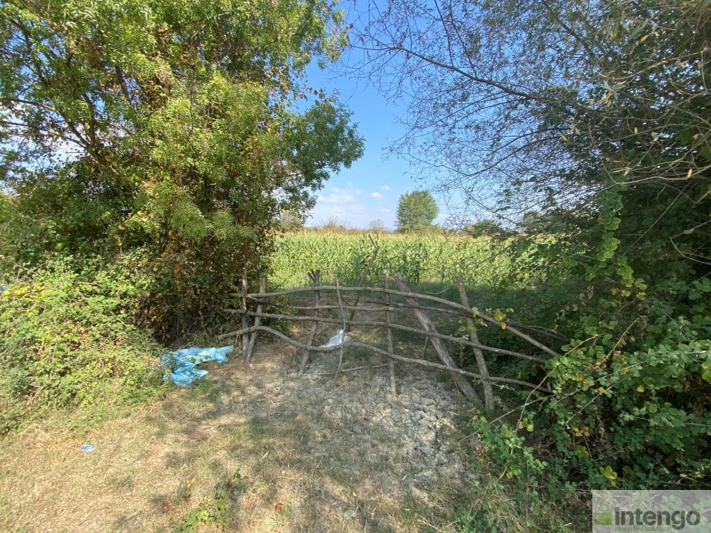 DÜZCE OVAPINAR KÖYÜ'NDE SATILIK HİSSELİ 2 ARSA VE TAM HİSSELİ TARLA (R-1451)