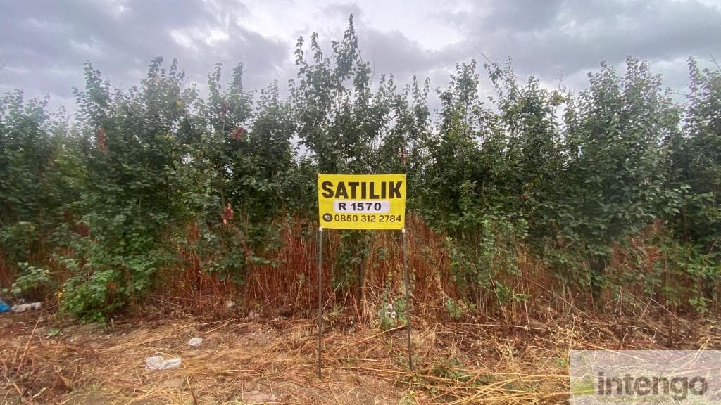 İNEGÖL KÜÇÜK YENİCE MAHALLESİ'NDE SATILIK TARLA (R-1570)