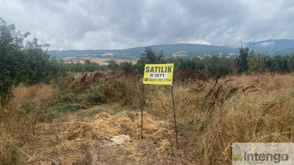 İNEGÖL SÜPÜRTÜ MAHALLESİ'NDE SATILIK 9 ADET TARLA (R-1571)