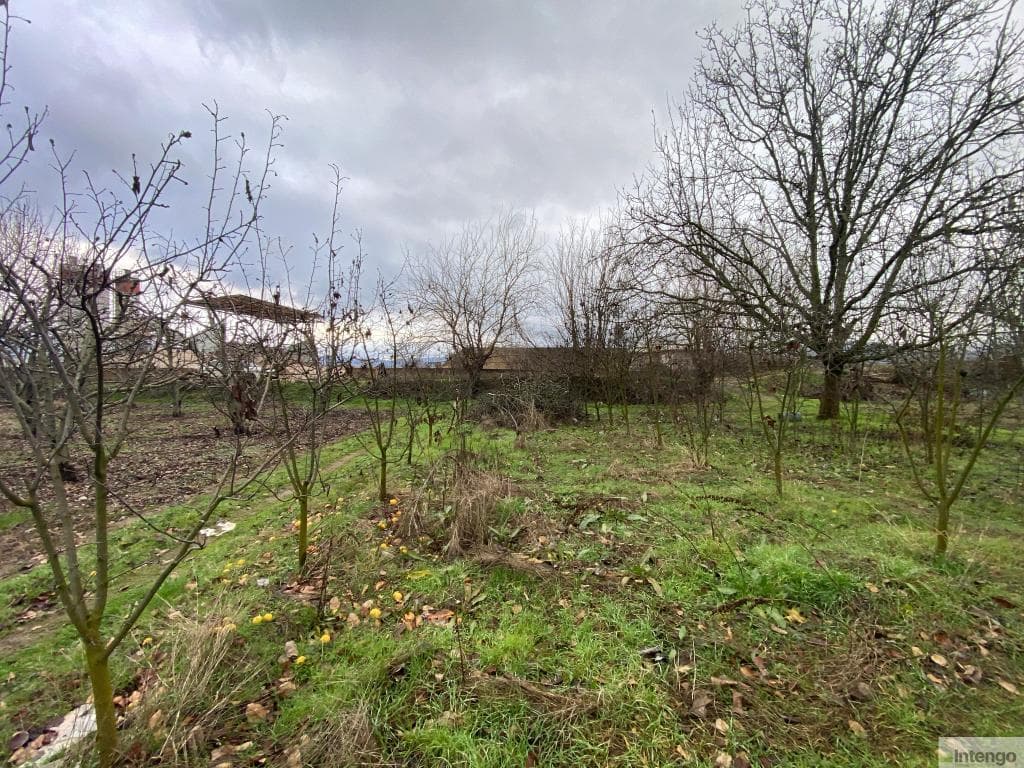 İNEGÖL HAMAMLI MAHALLESİ'NDE SATILIK TARLA (R-1574)