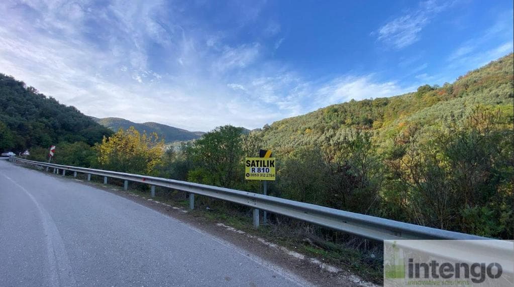 ORHANGAZİ YENİSÖLÖZ MAH. SATILIK ZEYTİNLİK (R-810)