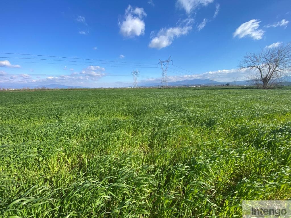 BAYINDIR HASKÖY MAH.'DE SATILIK TARLA (U-41051)