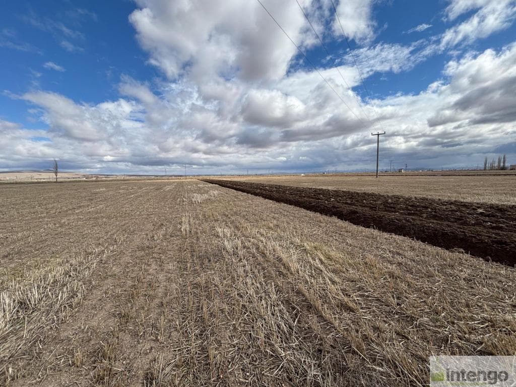 NİĞDE MERKEZ KİLEDERE KÖYÜ'NDE SATILIK TARLA (U-40888)